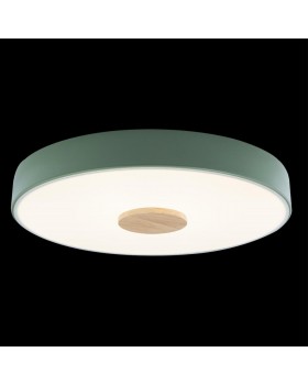 10003/24 Green Потолочный светильник LOFT IT Axel-foto2