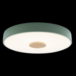 10003/24 Green Потолочный светильник LOFT IT Axel-foto2