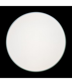 10001/36 Green Потолочный светильник LOFT IT Axel-foto4