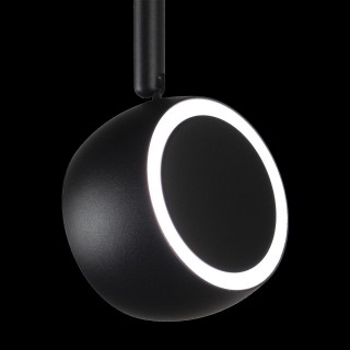 T034-10 Трековый светильник LOFT IT Tech-foto5