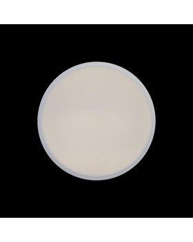 10002/12 White Потолочный светильник LOFT IT Axel-foto4