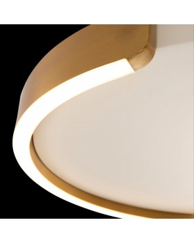 10026 Потолочный светильник LOFT IT Ring-foto4