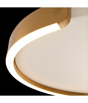 10026 Потолочный светильник LOFT IT Ring-foto4