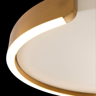 10026 Потолочный светильник LOFT IT Ring-foto4