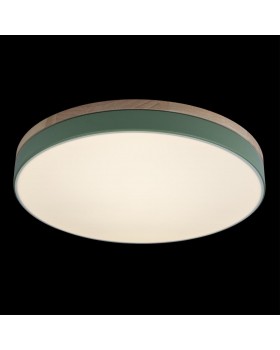 10001/36 Green Потолочный светильник LOFT IT Axel-foto3