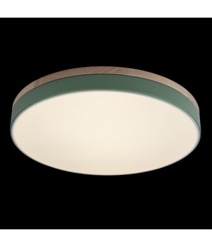 10001/36 Green Потолочный светильник LOFT IT Axel-foto3