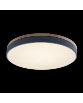 10001/36 Grey Потолочный светильник LOFT IT Axel-foto3