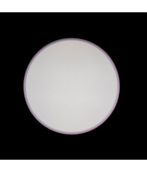 10002/24 Pink Потолочный светильник LOFT IT Axel-foto4