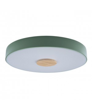 10003/24 Green Потолочный светильник LOFT IT Axel