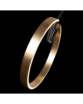 10027 Торшер LOFT IT Ring-foto6