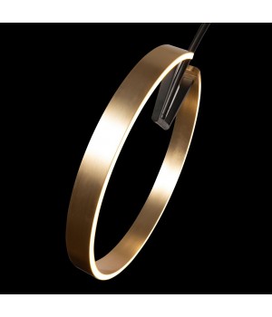 10027 Торшер LOFT IT Ring-foto6