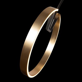 10027 Торшер LOFT IT Ring-foto6