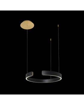 10025/400 Black Подвесной светильник LOFT IT Ring-foto2