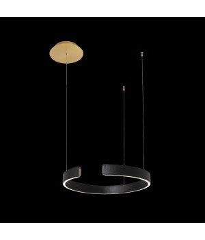 10025/400 Black Подвесной светильник LOFT IT Ring-foto2