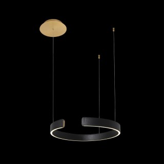 10025/400 Black Подвесной светильник LOFT IT Ring-foto2