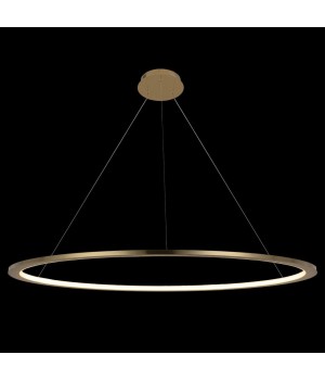 10014XXL Подвесной светильник LOFT IT Ring-foto2