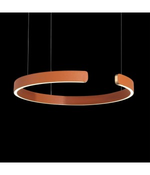 10025/400 Orange Подвесной светильник LOFT IT Ring-foto4