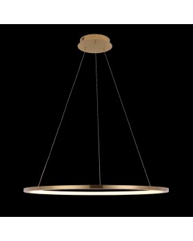 10014L Подвесной светильник LOFT IT Ring-foto2