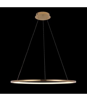 10014L Подвесной светильник LOFT IT Ring-foto2