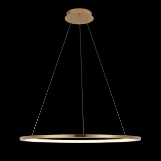 10014L Подвесной светильник LOFT IT Ring-foto2