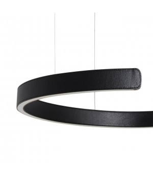 10025/600 Black Подвесной светильник LOFT IT Ring-foto5