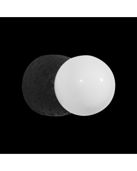 10109W Dark grey Бра LOFT IT Quill-foto6