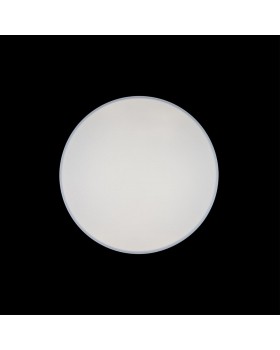 10002/48 White Потолочный светильник LOFT IT Axel-foto6