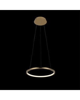 10014S Подвесной светильник LOFT IT Ring-foto2