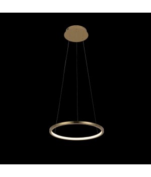 10014S Подвесной светильник LOFT IT Ring-foto2