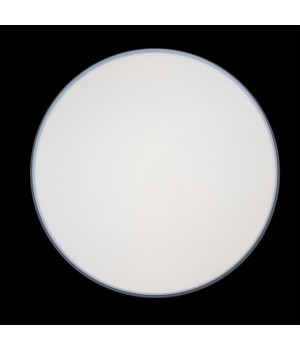 10001/36 Grey Потолочный светильник LOFT IT Axel-foto5