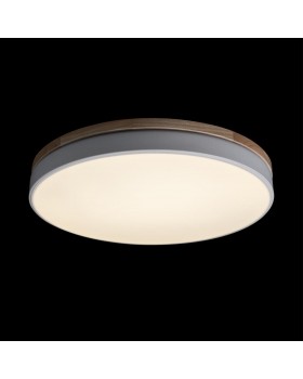 10001/36 White Потолочный светильник LOFT IT Axel-foto2