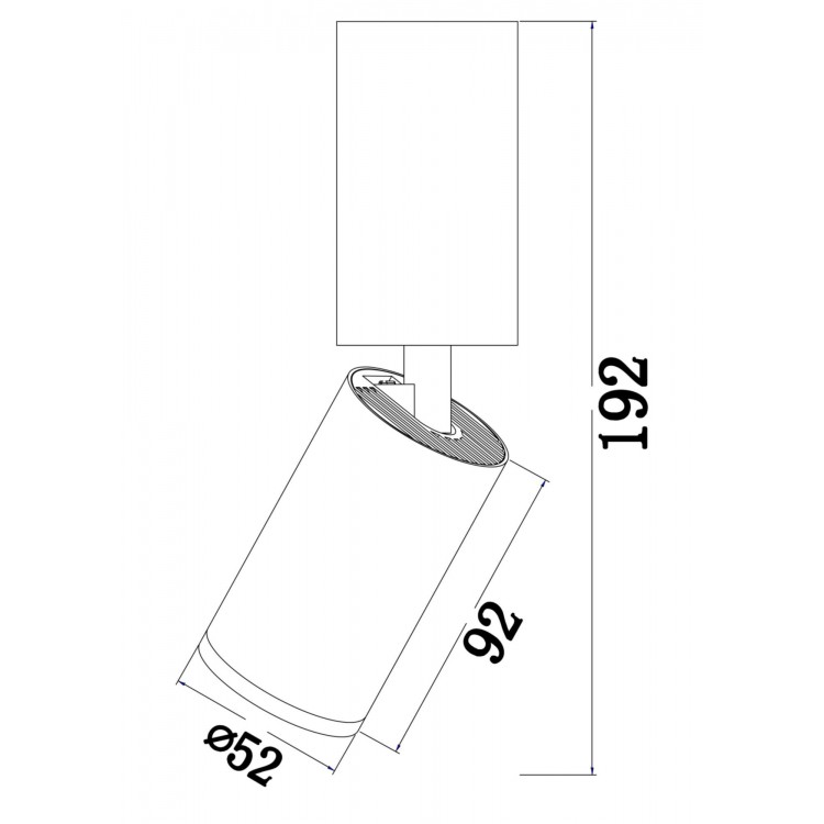 Потолочный светильник Technical C051CL-01BS