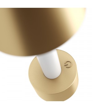 Аккумуляторный светильник Maytoni MOD104TL-3AG3K-foto5