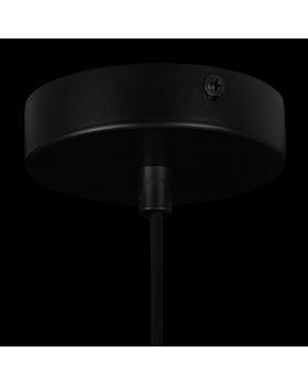 Подвесной светильник Freya FR8011PL-01N-foto4