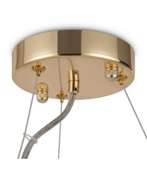 Подвесной светильник Maytoni MOD490PL-09G-foto4