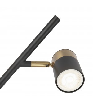 Напольный светильник (торшер) Freya FR5201FL-01B-foto5