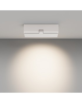 Потолочный светильник Technical C136CL-12W4K-W-foto4