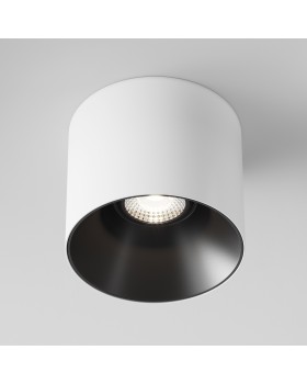 Потолочный светильник Technical C064CL-01-15W4K-D-RD-WB