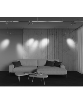 Трековый светильник Technical TR144-1-5W3K-W-BS-foto9