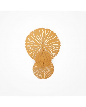 Настенный светильник (бра) Maytoni MOD082WL-01G-foto2