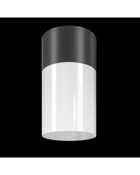 Потолочный светильник Outdoor O418CL-01B-foto3