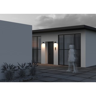 Настенный светильник (бра) Outdoor O303WL-L5GF3K-foto2