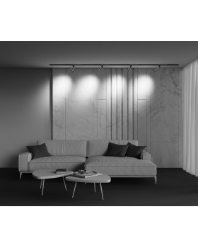 Трековый светильник Technical TR021-1-12W3K-W-BBS-foto5