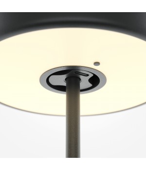 Аккумуляторный светильник Maytoni MOD229TL-L3B3K2-foto4