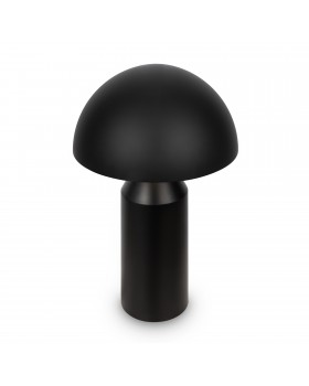 Настольный светильник Freya FR5218TL-02B1-foto6