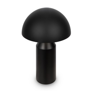 Настольный светильник Freya FR5218TL-02B1-foto6