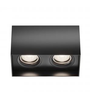 Потолочный светильник Technical C015CL-02B-foto2