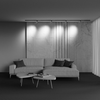 Трековый светильник Technical TR021-1-12W3K-W-BBS-foto8