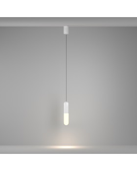 Подвесной светильник Technical P101PL-L300-12W3K-W-foto4