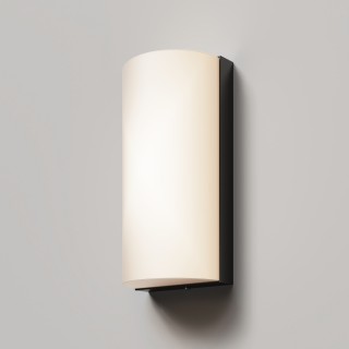 Настенный светильник (бра) Outdoor O454WL-L10GF3K1-foto4